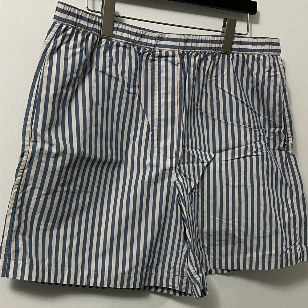 Wilfred Striped Blue and White Women's Shorts. aritzia! (2 for $20)